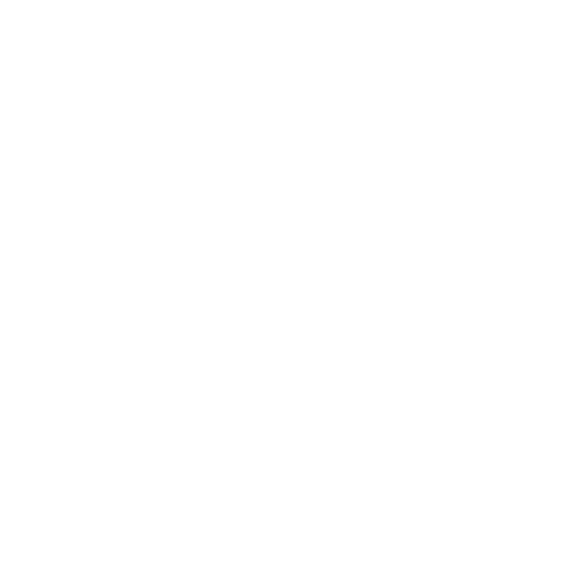 TikTok Logo